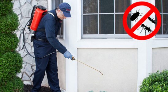 Sivas Dezenfeksiyon böcek ilaçlama ve haşere kontrolü — ilaclama-tr.com